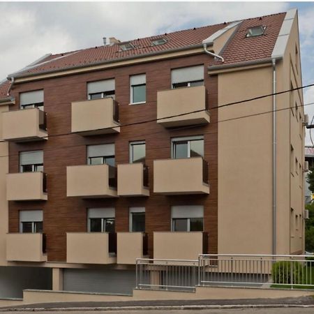 Modern 1 Bed Apartment, Near Shopping Mall Stadion 베오그라드 외부 사진